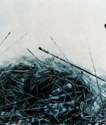 barricata