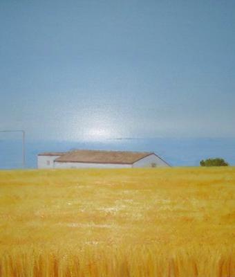 oltre-il-campo