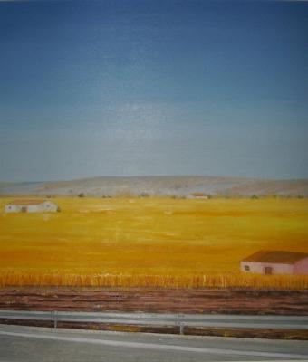 campi-di-grano-con-case-colon