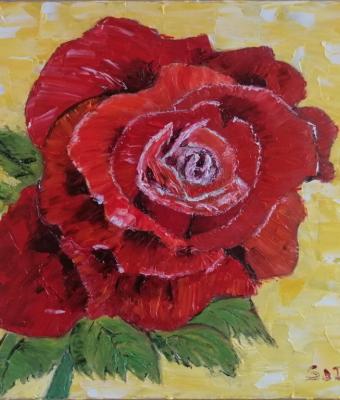 ti-regaler-una-rosa