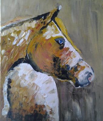 appaloosa