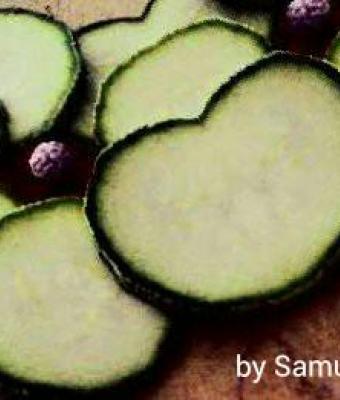 un-fiore-di-zucchine-per