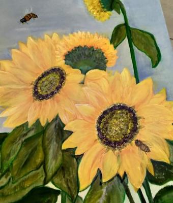 girasoli