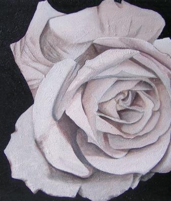 rosa