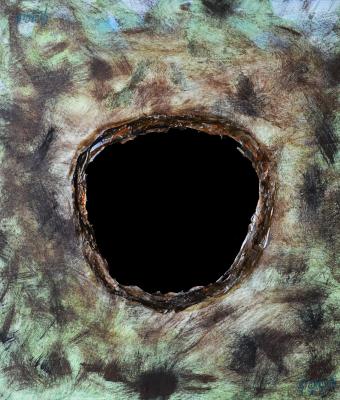 bush-the-hole