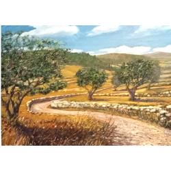 strada-bianca-con-gli-olivi