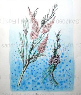 fiori