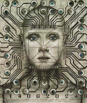 software-n01
