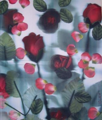 gaio-laghetto-fiorito