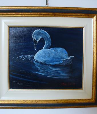 cigno