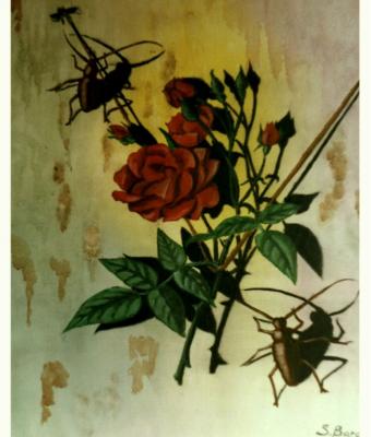 la-rosa-rossa