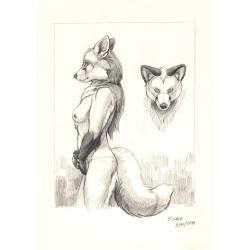 disegni