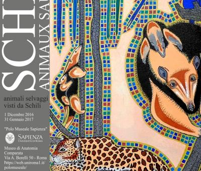 schili-animaux-sauvages