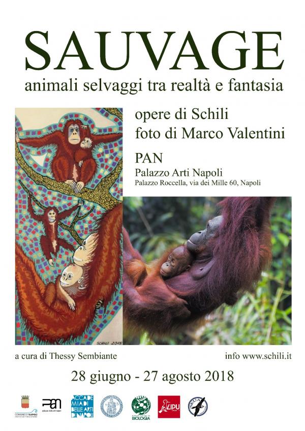 sauvage-pan-palazzo-delle-arti-di-napoli-dal-28-giugno-al-27-agosto-2018-86-opere-di-schili-e-40-riproduzioni-fotografiche-di-marco-valentini sauvage-pan-palazzo-delle-arti-di-napoli-dal-28-giugno-al-27-agosto-2018-86-opere-di-schili-e-40-riproduzioni-fotografiche-di-marco-valentini