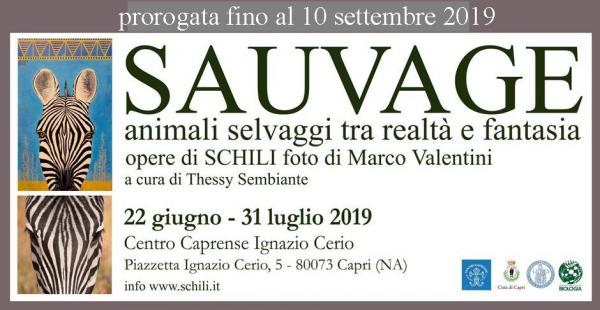 sauvage-animali-selvaggi-tra-realta-e-fantasia sauvage-animali-selvaggi-tra-realta-e-fantasia