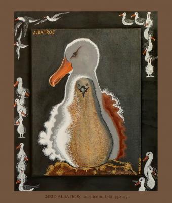 2020-albatros