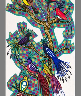 paradise-birds