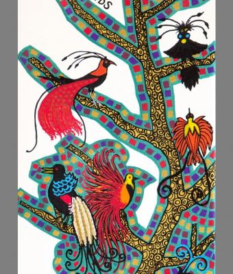 paradise-birds