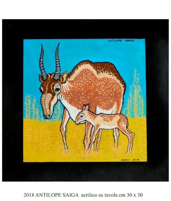 2018-antilope-saiga