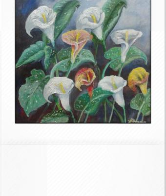 fiori