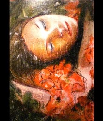 il-sogno