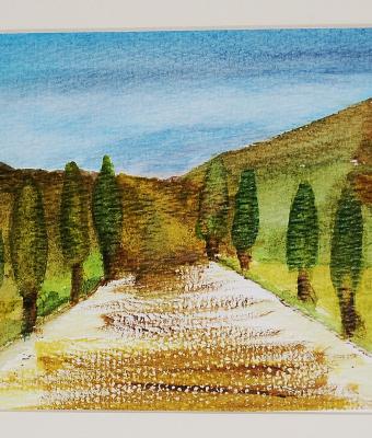 passando-tra-gli-alberi