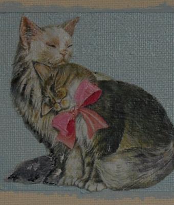 dolci-coccole