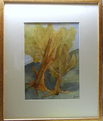 l-albero-delle-fate