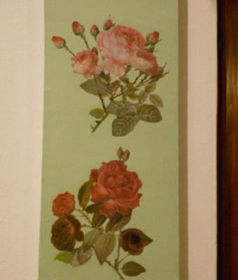 le-mie-rose