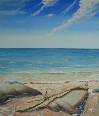 oceano