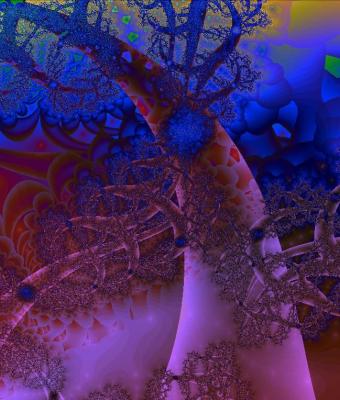 la-foresta-incantata