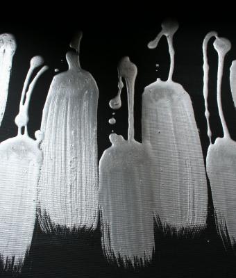 we-shadows-we-lights
