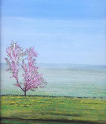 primavera-2016