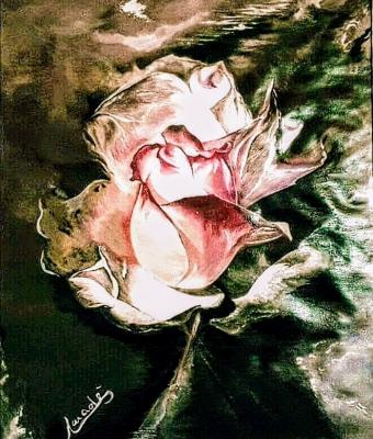 rosa-angelorum