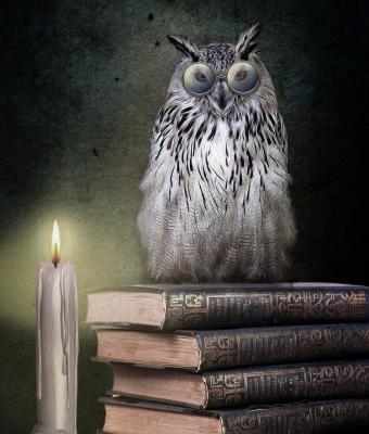 m-e-book
