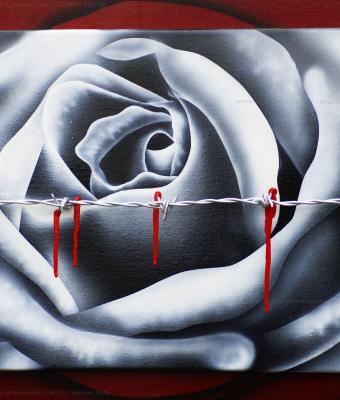 rosa