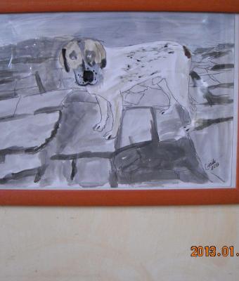 il-mio-cane-buck