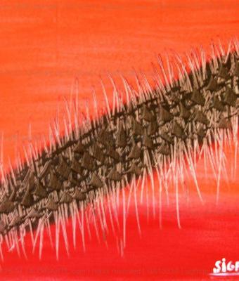 ciclo-graffi-istintivi-microsc