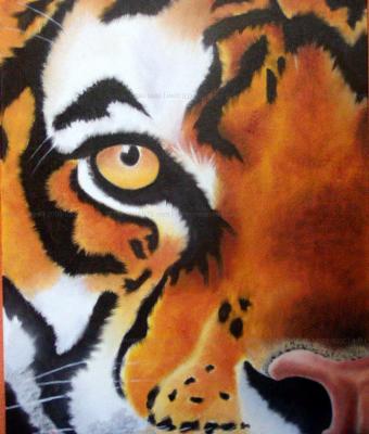 tigre