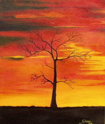 albero-solitario