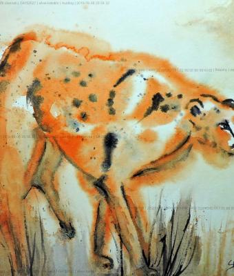 hunting