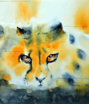 lo-sguardo