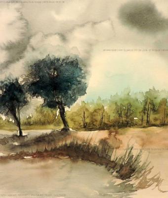 inverno-tra-le-fronde