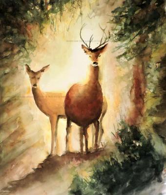 all-improvviso-nel-bosco