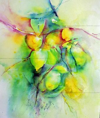 i-limoni