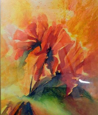 soft-poppies