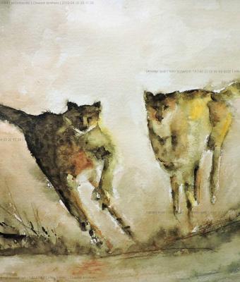 cheetah-brothers