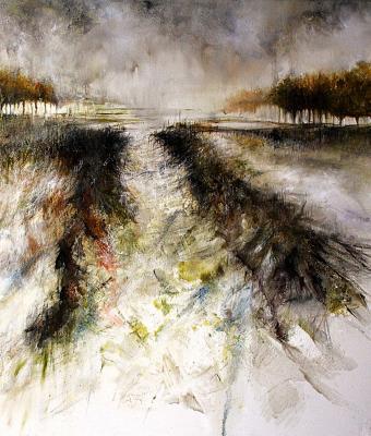 lande-di-pianura-n26