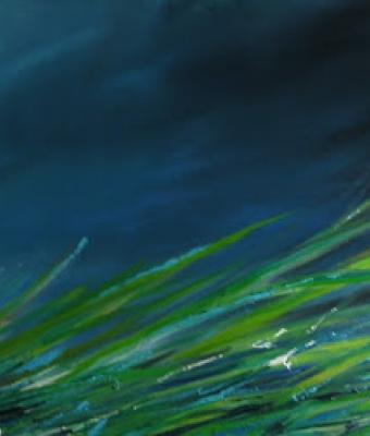 temporale