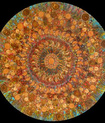fusioni-di-stupore